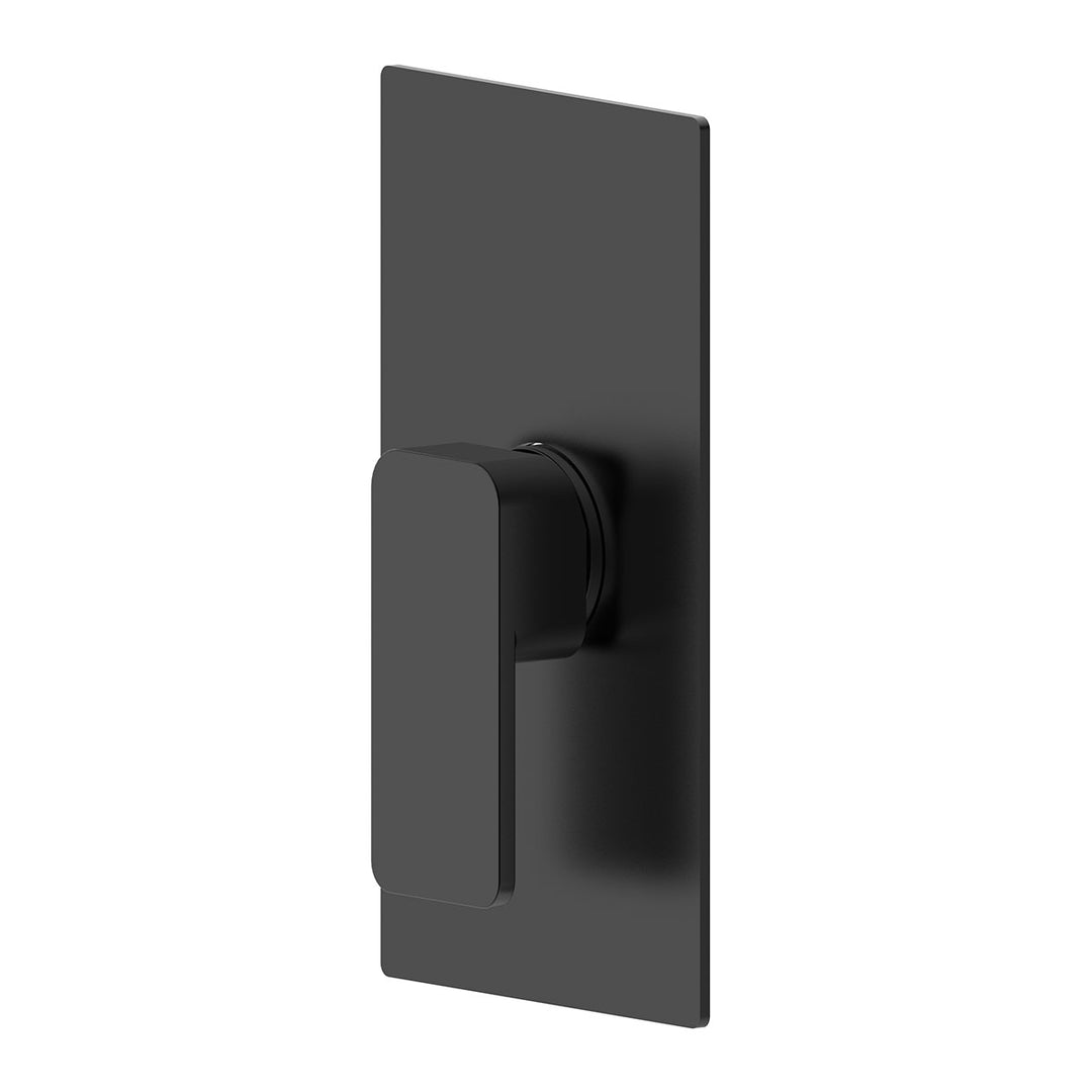 Pasha Pressure-Balancing Shower Valve