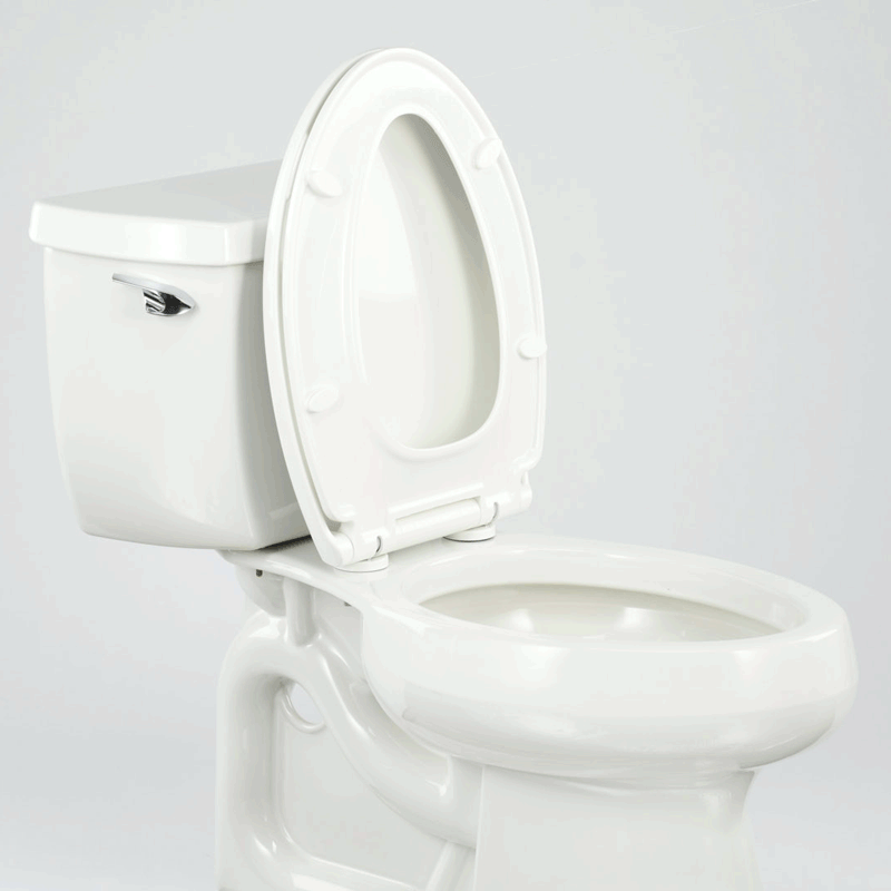 MasterSuite Toilet Seat