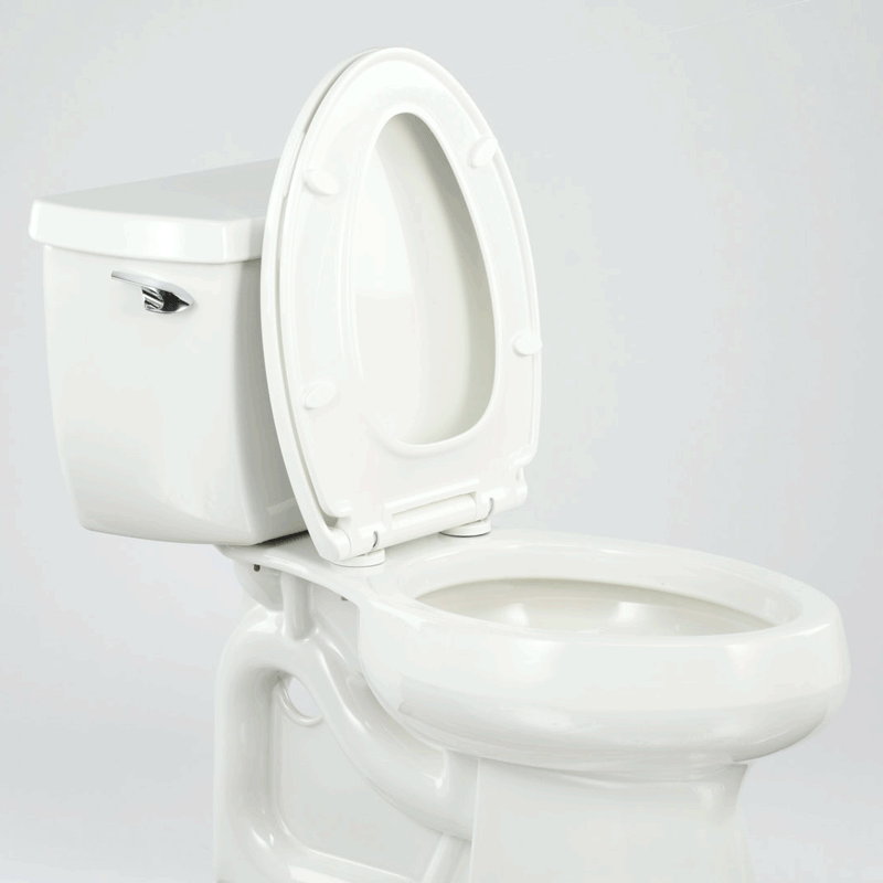 Kingsport Family Toilet Seat with Built-In Child Seat