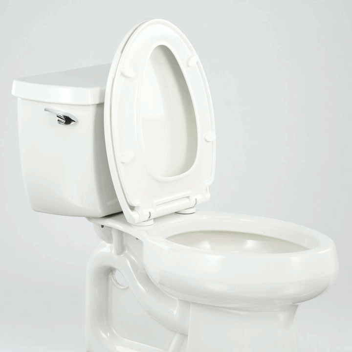 Kingsport Family Toilet Seat with Built-In Child Seat